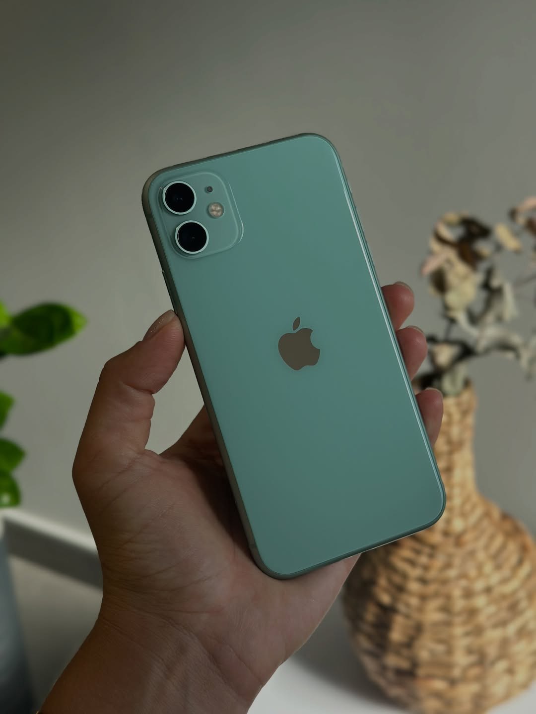 iPhone 11