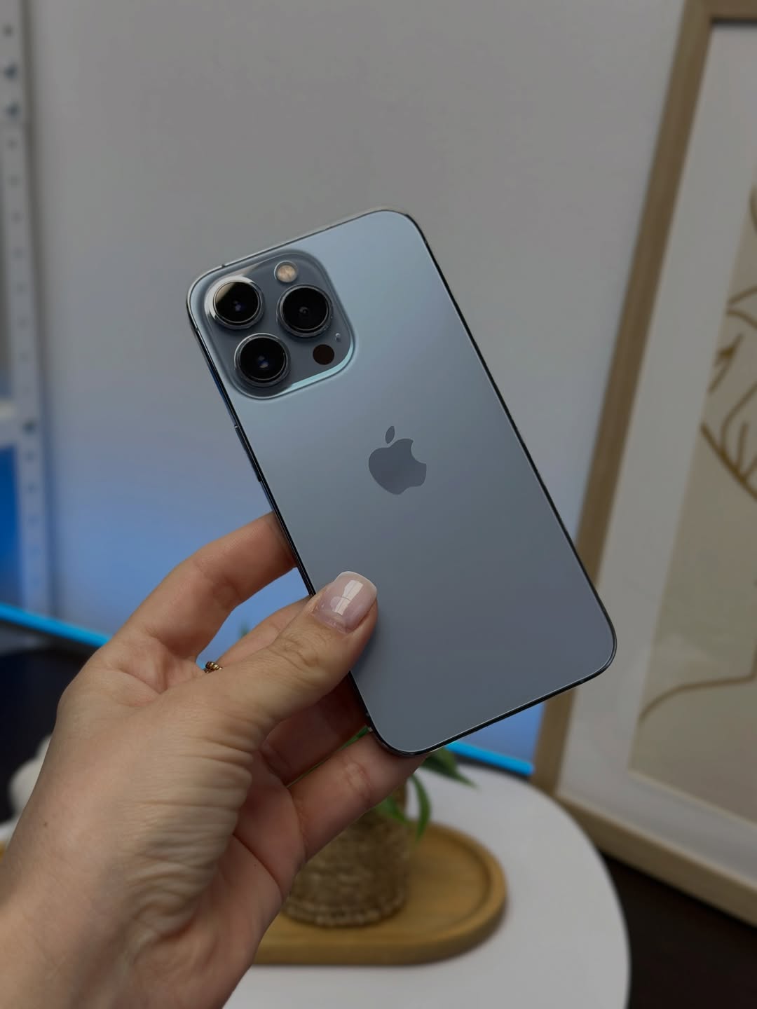 iPhone 13 Pro