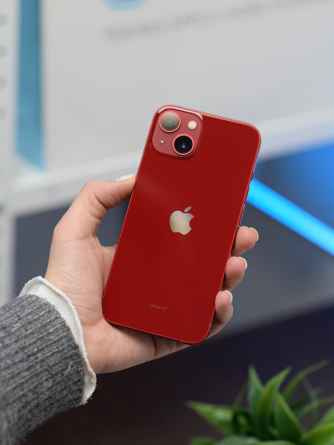 iPhone 13