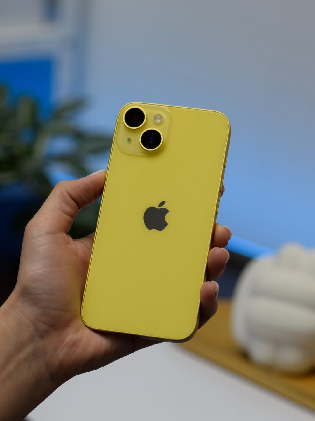 iPhone 14