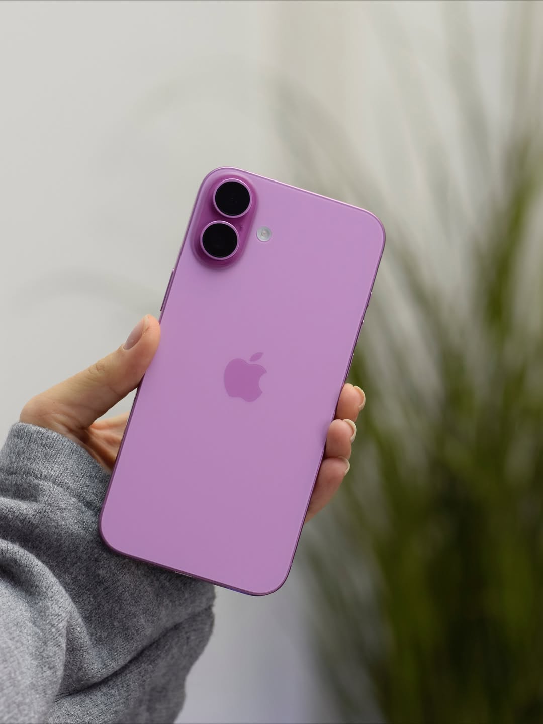 iPhone 16 Plus